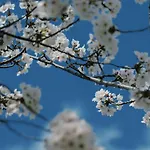 -時の宿 二条- 二条城前駅 Toki Nijo Rooma